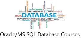 Database Courses